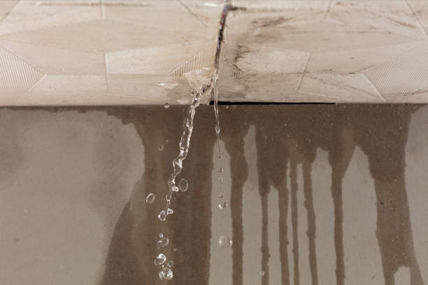Professional Structural Drying technician working in North Hills, CA